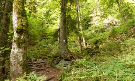 Höllbachgespreng wieder zugänglich – Wanderweg freigegeben