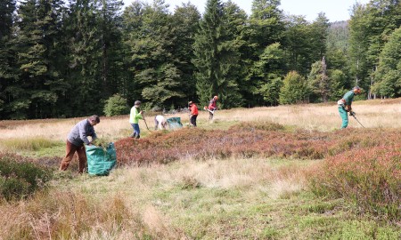 100 Freiwillige pflegen die Schachten im Nationalpark