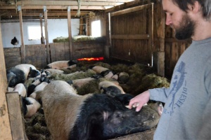 RegioMahl: Biohof Scherm