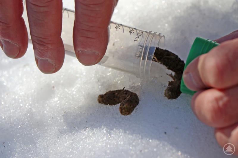 Geübt landet die Losung mit Hilfe von Röhrchen und dessen Kappe im Inneren des Behältnisses.