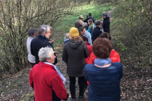 Staunenswerte Artenvielfalt durch Weidewirtschaft