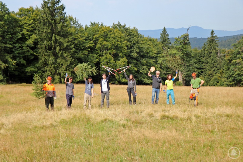 Eine der beiden Einsatzgruppen war mit Betreuung zweier Ranger auf dem Almschachten im Einsatz, um den Bewuchs am Rand der ehemaligen Weidefläche zurückzudrängen.