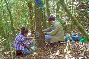 „Man kann nicht schützen, was man nicht kennt“