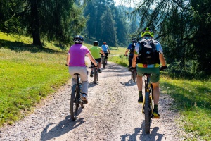 Fahrrad - E-Bike Verleih für Touren im Rad-Paradies  "Bayerischer Wald "