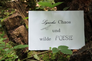 Lyrisches Chaos und wilde Poesie
