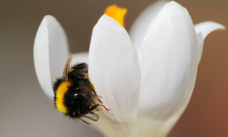 M&auml;rzwetter 2023 im Bayerwald