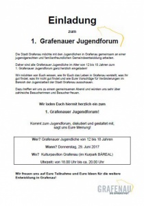 1. Grafenauer Jugendforum