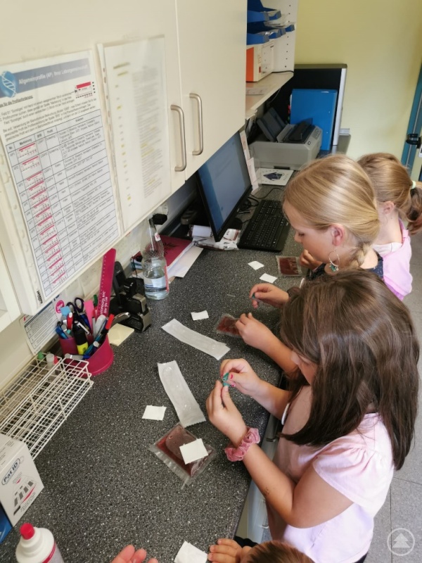 Das Abnehmen von Monsterblut war für die Kinder eines der spannendsten Erlebnisse des Tages.