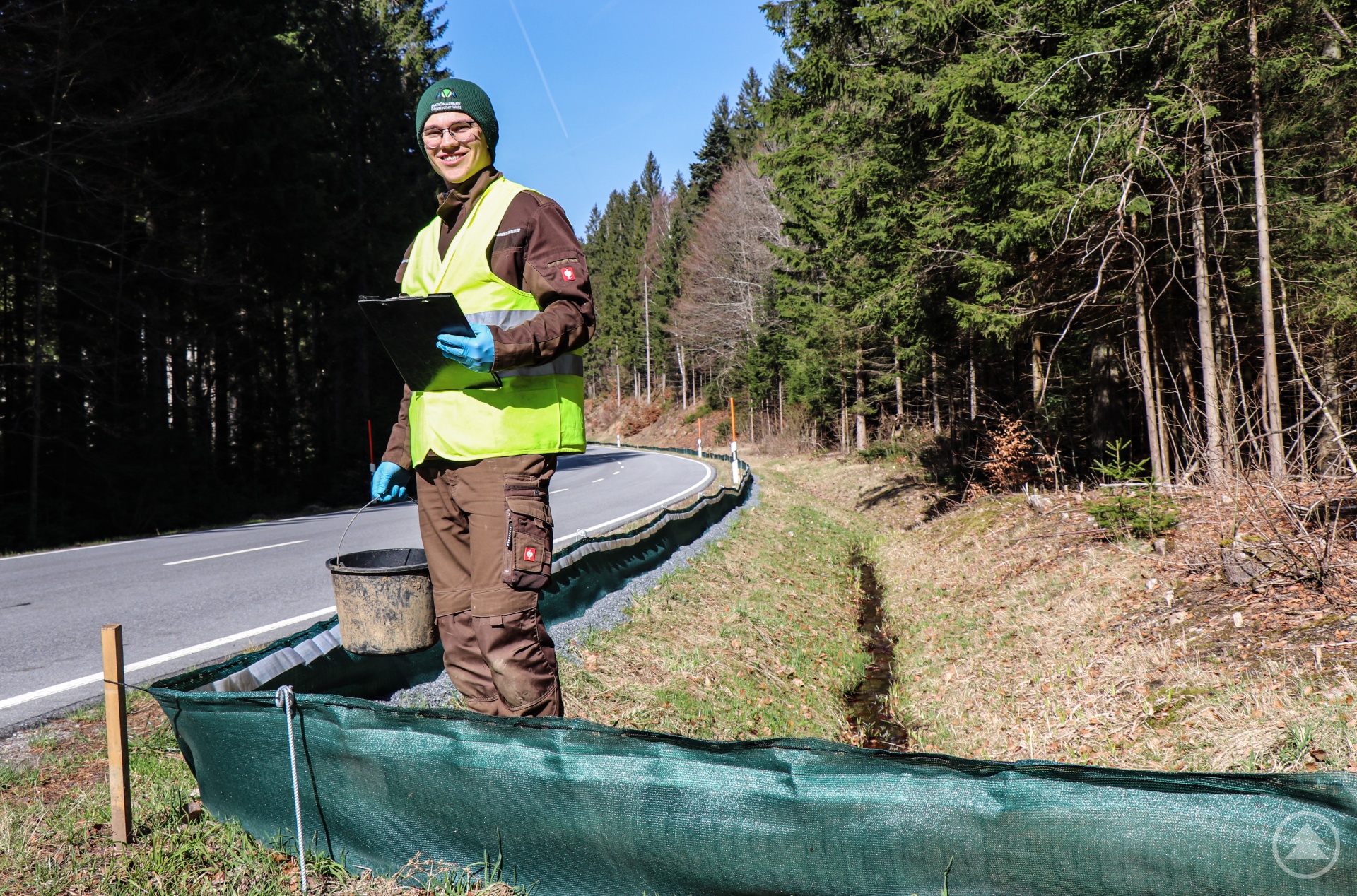 Lennart Berger macht sein Freiwilliges Ökologisches Jahr im Nationalpark Bayerischer Wald und  engagiert sich gerne beim Amphibienschutzprojekt. (Foto: Nationalpark Bayerischer Wald)