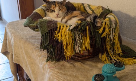 Gut Aiderbichl lud zum beliebten Fest für die Katz' ein