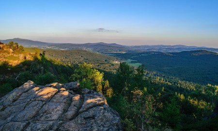 Eine Ode an den BAYERISCHEN WALD