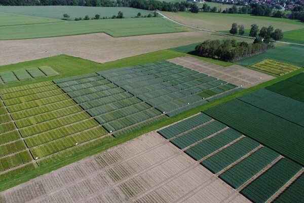 Flyer/Grafik zum Event: Versuchsfeldführungen HLS Rotthalmünster 2025 am Di., 27.05.2025 ab 18:30 Uhr