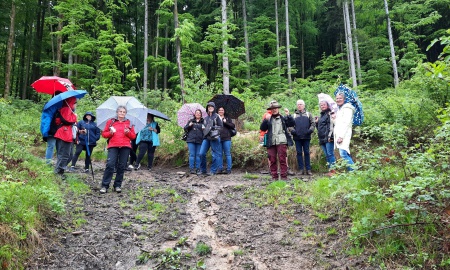 Fortbildung „Walk & Talk“ im Ringelaier Wald – Medienkompetenz im pädagogischen Alltag