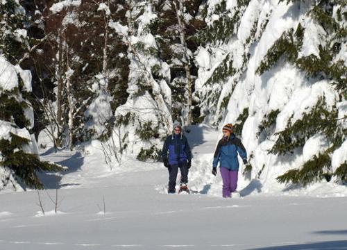 Flyer/Grafik zum Event: Schneeschuhwanderung in Mauth-Finsterau am Do., 09.03.2017 - Do., 24.03.2022