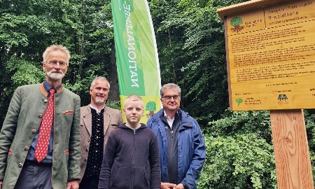 Waldhaustanne ist nun Nationalerbe-Baum