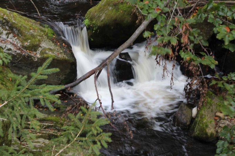 Flyer/Grafik zum Event: Steinklamm-Wanderung am Di., 21.05.2024 - Di., 29.10.2024