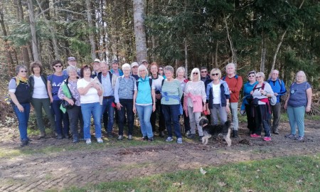 Zwischen Kirchlein und König