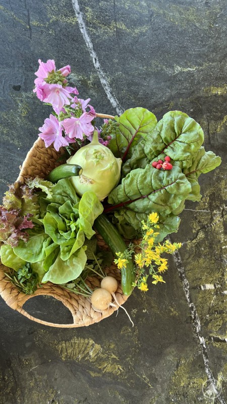 Erntekorb mit frischem Gemüse und Blüten aus dem Garten Im ersten Bild ist ein geflochtener Korb mit frisch geerntetem Gartengemüse und Blüten zu sehen. Enthalten sind unter anderem Kohlrabi, verschiedene Salate, Mangold, Gurke, kleine Rübchen, Kräuter sowie essbare Blüten wie Malve und blühender Rucola. Eine farbenfrohe und appetitliche Zusammenstellung direkt aus dem Garten.