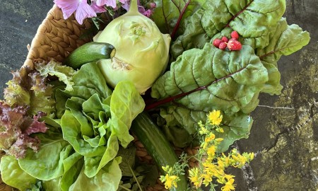 Zurück zu den Wurzeln: Warum junge Menschen Selbstversorgung neu entdecken