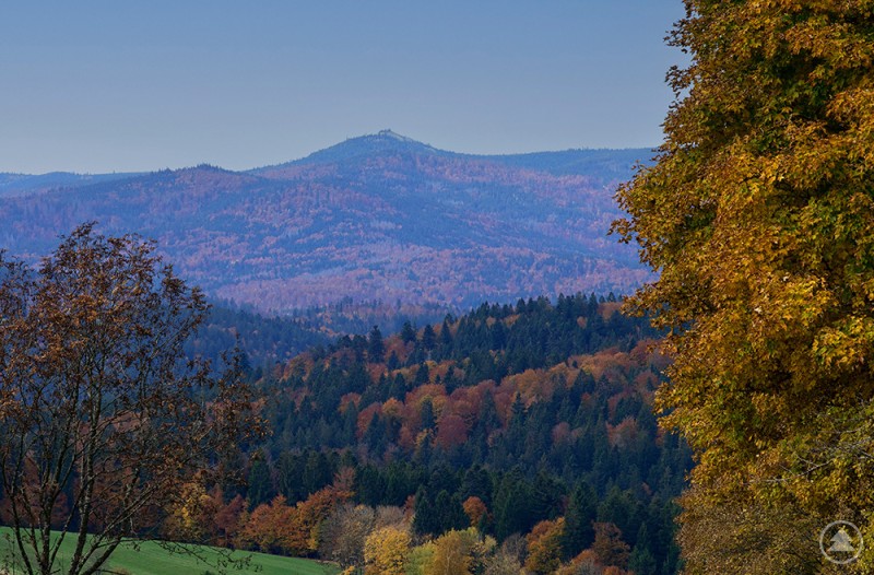 Schöne herbstliche Landschaft mit Wiesen und bunten Bäumen