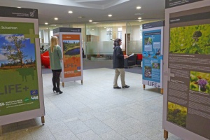 Einblicke in Moore, Schachten und Bäche