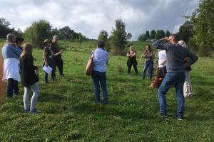 Wie viele Pferde verträgt das Land?