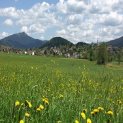 Klaus Achatz Gastwirtschaft Metzgerei