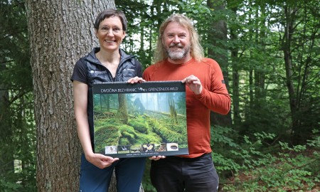 Rückkehrer im Fokus