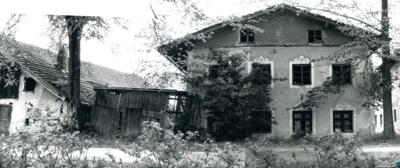 Alter Hof in Einberg der verlassen aussieht, Bäume wuchern und das alte Holztor wirkt verfallen
