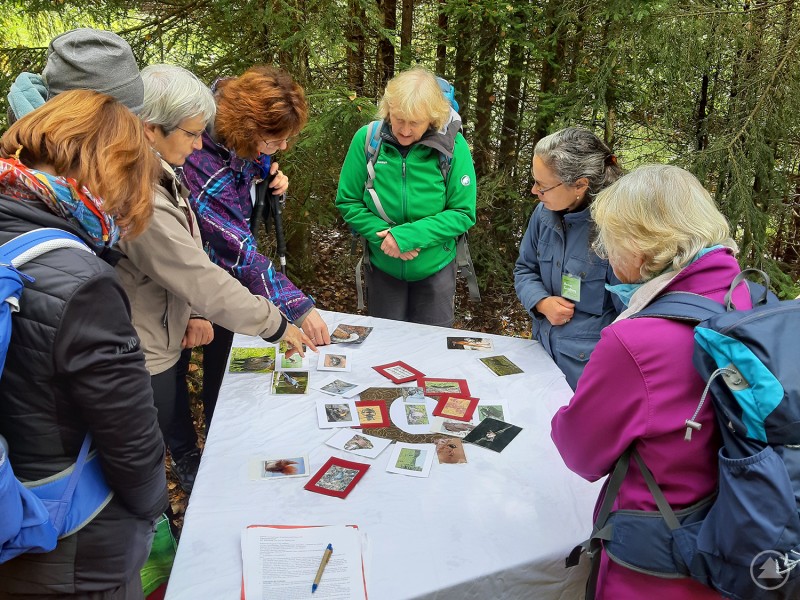 Bei der Waldführerausbildung erhalten die Teilnehmer unter anderem ein breites Wissen über die Lebensräume und die dort angesiedelten Arten im Nationalpark. Eine Gruppe von älteren Wanderern steht im Wald um einen Tisch, der mit Karten und Informationsmaterialien bedeckt ist. Alle beugen sich interessiert darüber und diskutieren.