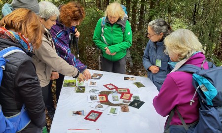 Neue Waldführer gesucht