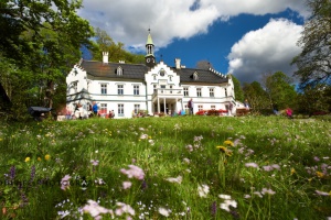 Ein Tag für die Seele - Gartenmarkt mit Bärlauchfest im Schloss Buchenau