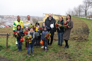 Stadtgärtnerei legt fünf neue Blühwiesen an