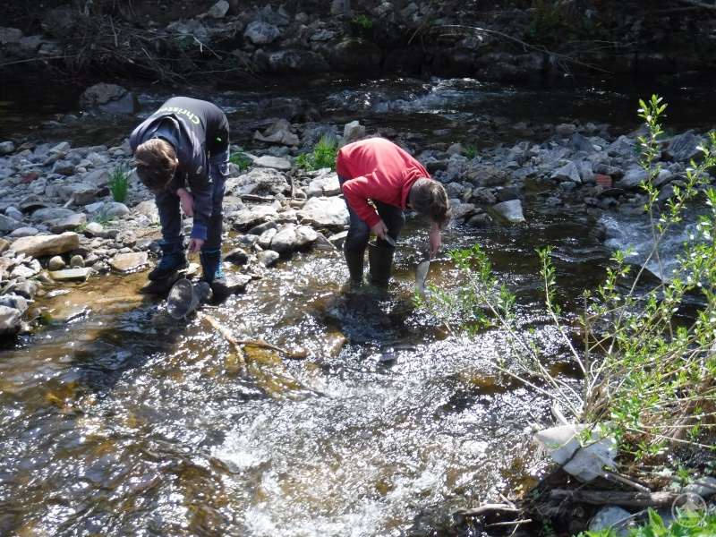 Junge Forscherinnen und Forscher im Ökosystem Saußbach.