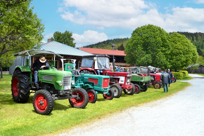 Eine Reihe historischer Traktoren steht auf einer Wiese vor einem Geb&auml;ude, mehrere Besucher betrachten die Oldtimer Fahrzeuge.