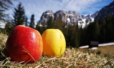 Alpenfeinkost & Alpine Lifestyle-Produkte: Warum Experten für alpinen Lifestyle einen regelrechten Boom erleben