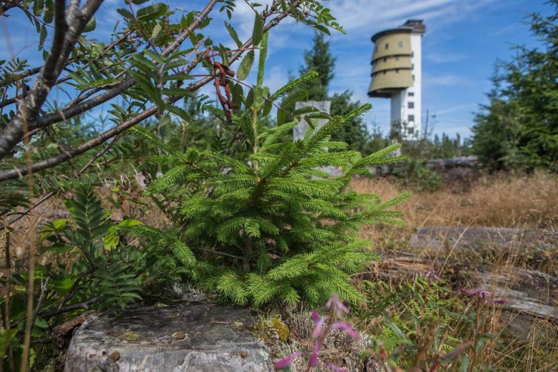 Flyer/Grafik zum Event: Wild, frei und mittendrin - Grenzüberschreitende Rucksackwanderung von 5. bis 8. September am Mo., 05.08.2024 - Do., 08.08.2024