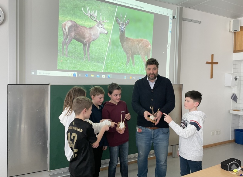 Die Realschüler erklären Schulleiter Ferdinand Klingelhöfer den Unterschied zwischen Reh und Hirsch.