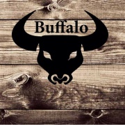 Buffalo Bistro