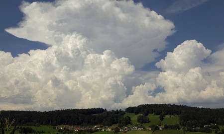 Der heurige Sommer "im Woid"