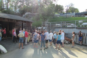 Zu Besuch bei oberösterreichischen Biobetrieben