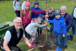 Gartenwichtl pflanzen einen Apfelbaum