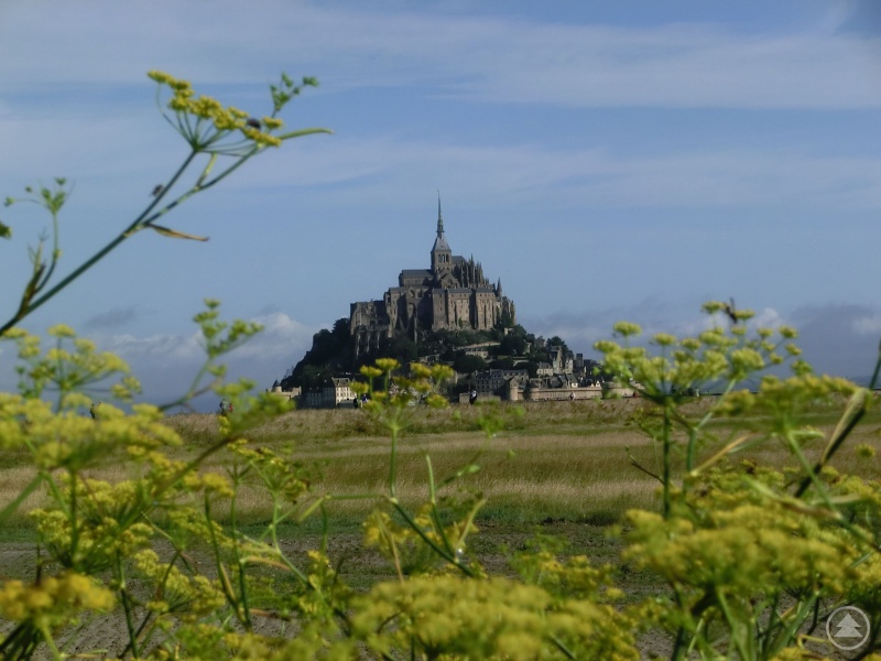 Das Gewinnerfoto von Michael Behringer.
