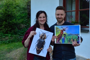 Den Urwald-Käfer in der Badewanne gefunden