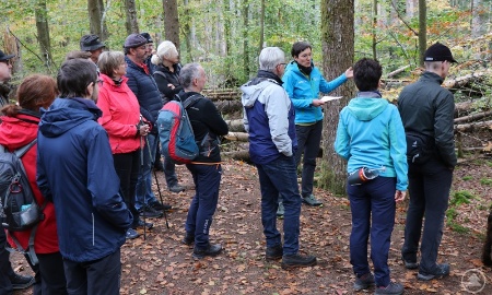 Lebendige Wälder haben viele Gesichter