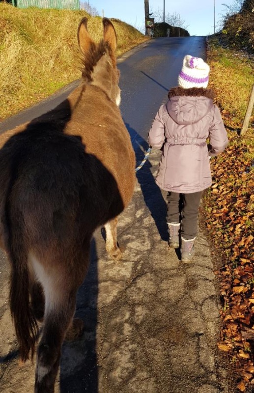 Flyer/Grafik zum Event: Eselwanderung in St. Oswald am Sa., 18.03.2023 - Mo., 18.03.2024