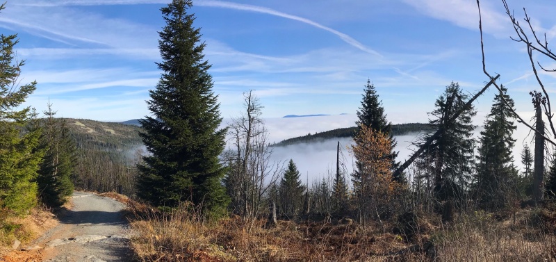 Flyer/Grafik zum Event: Der Osterbotschaft auf der Spur - Ökumenische Emmauswanderung auf den Lusen am Ostermontag am Mo., 01.04.2024 ab 06:00 Uhr