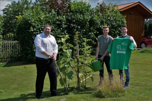 Bäume pflanzen – Klima retten