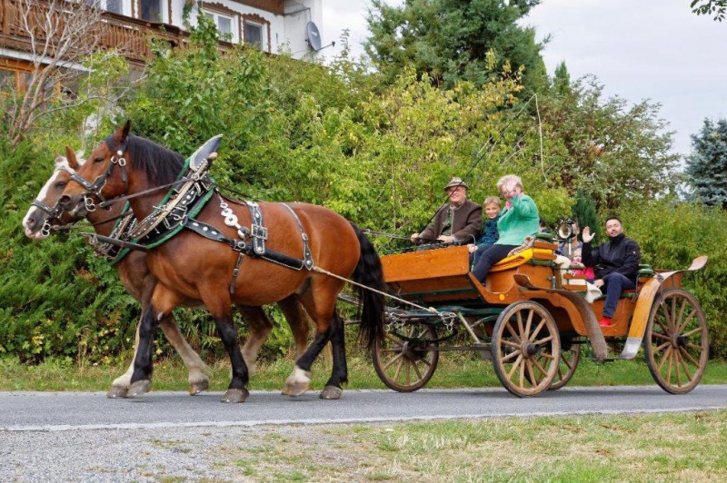 Flyer/Grafik zum Event: Kutschfahrten durch den Bayerischen Wald am Sa., 05.10.2019