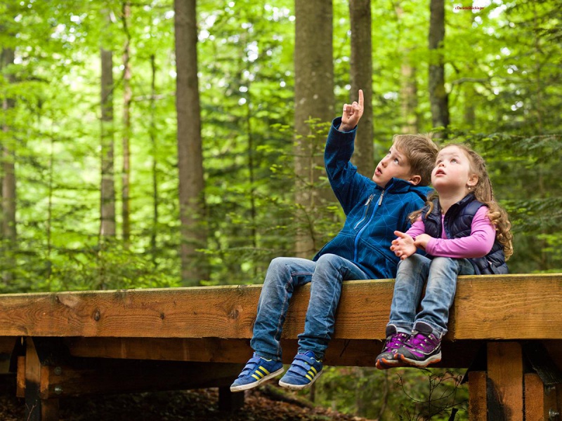 Flyer/Grafik zum Event: Waldspürnasen unterwegs am Di., 29.10.2019 von 14:00 bis 17:00 Uhr